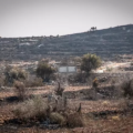 La guerre par les flammes : Israël brûle forêts et vergers au Sud-Liban
